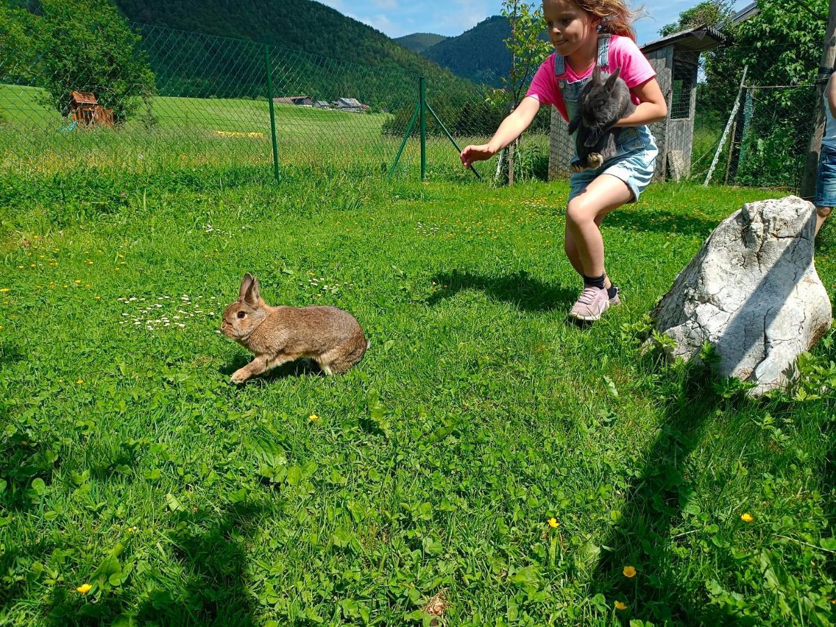 Biohof Untergrabenbauer Lidaun