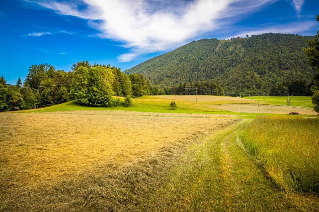 Appartamento Biohof Untergrabenbauer *