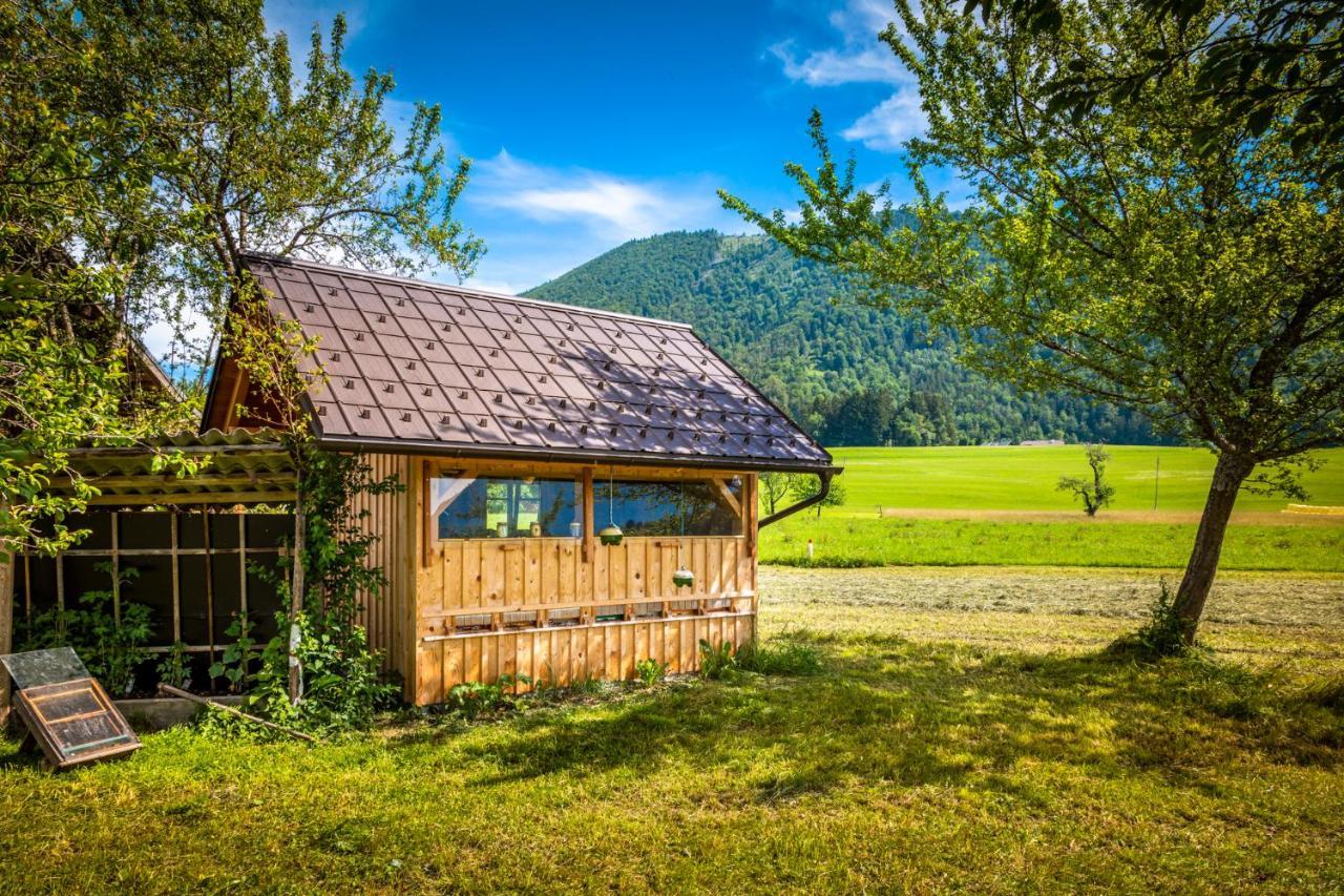 Biohof Untergrabenbauer Appartamento *