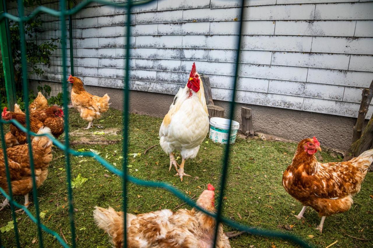 Appartamento Biohof Untergrabenbauer Lidaun